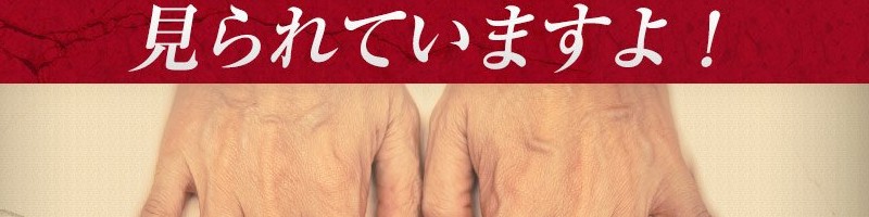 �w�n���h�s�����i�x���T�C�g